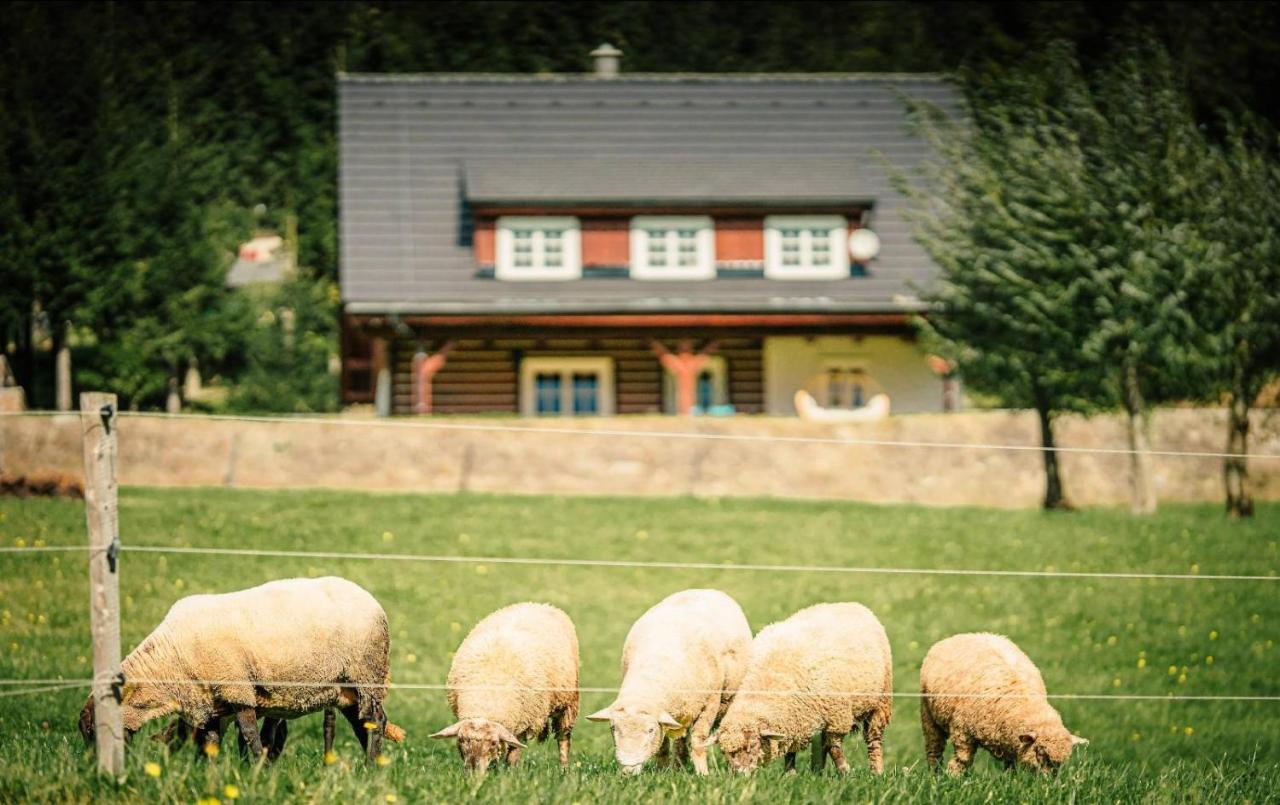 Villa Roubenka Ondrejnik Kunčice pod Ondřejníkem Exterior foto